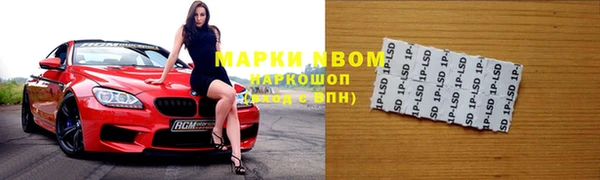бошки Белокуриха