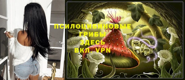 бошки Белокуриха