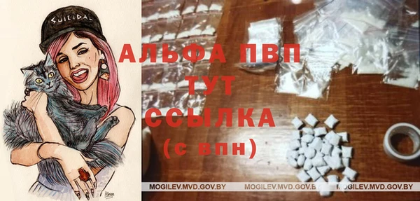 mdpv Богородск
