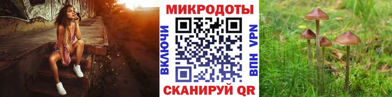 Псилоцибиновые грибы Psilocybine cubensis  Волчанск 
